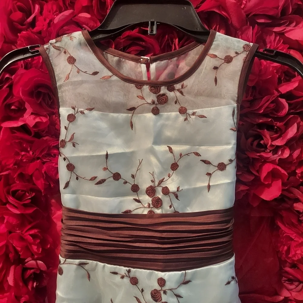Bonnie Jean Girls Size 12 Formal Dress Brown/Light Blue Dress with Floral Design